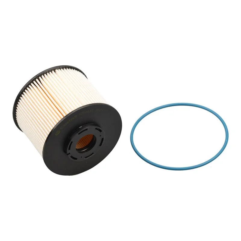 Kuro filtras Castrol Filters CF0437