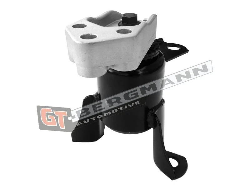 Variklio montavimas gt-bergmann automotive GT25-035