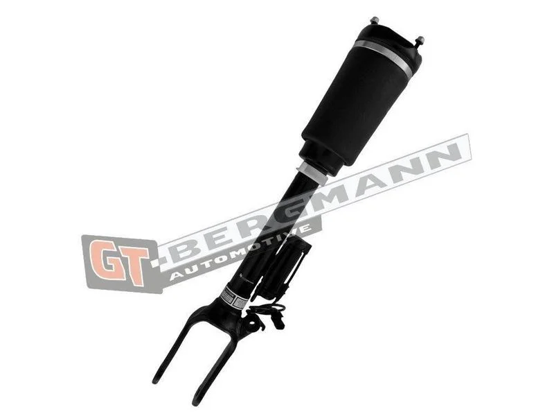 Pneumatinės spyruoklės statramstis gt-bergmann automotive GT25-050