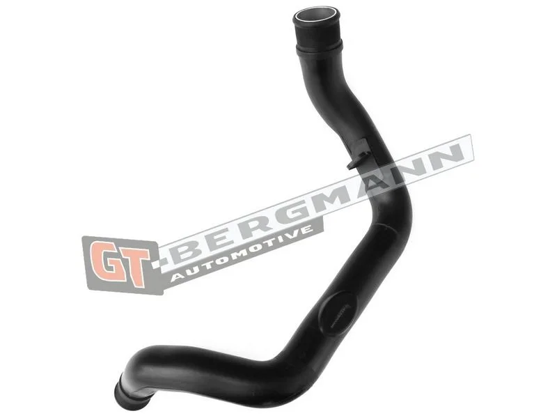 Kompresoriaus padavimo žarna GT-BERGMANN GT52-259
