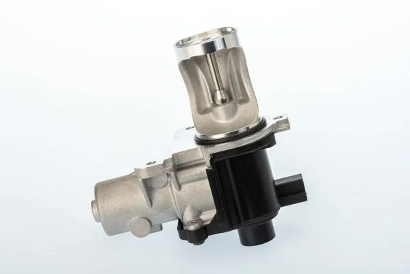 EGR Valve BorgWarner (Wahler) 710571D