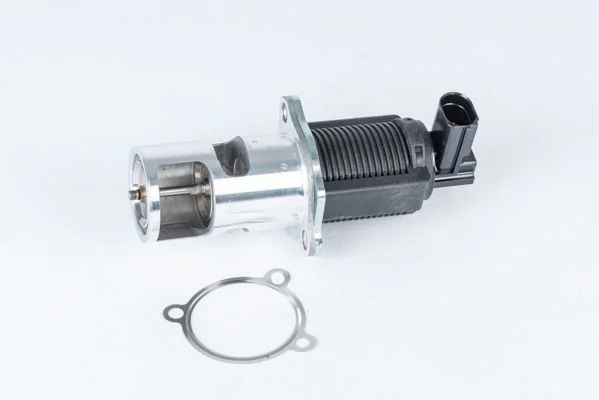 EGR Valve BorgWarner (Wahler) 710723D