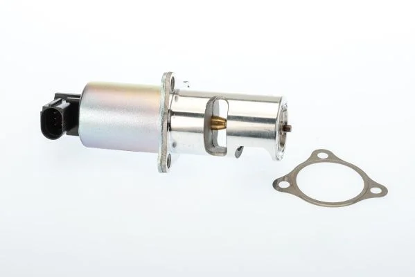 EGR ventil BorgWarner (Wahler) 710725D/1