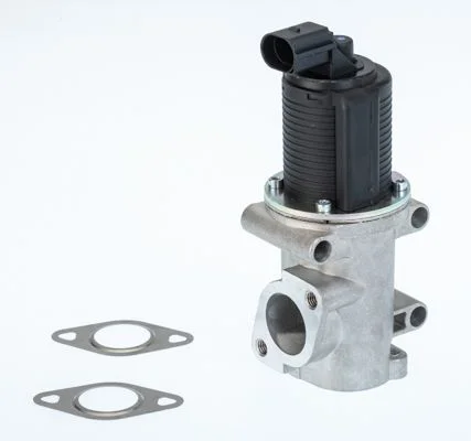 EGR ventil BorgWarner (Wahler) 710770D/1