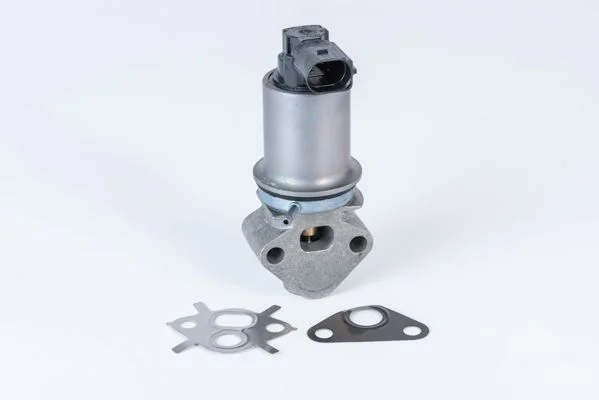 EGR Valve BorgWarner (Wahler) 710771D0