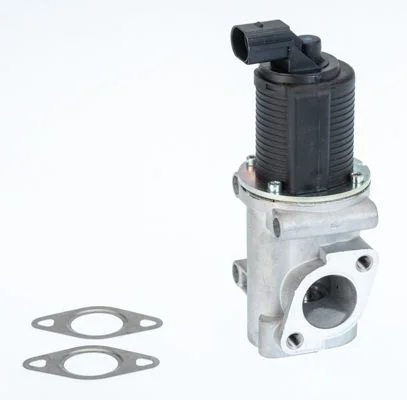 EGR Valve BorgWarner (Wahler) 710772D