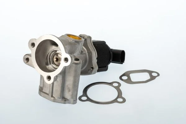 EGR ventil BorgWarner (Wahler) 710773D/1