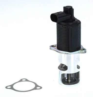 EGR ventil BorgWarner (Wahler) 710776D/1