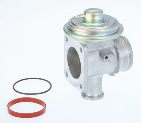 EGR Valve BorgWarner (Wahler) 710921D/1
