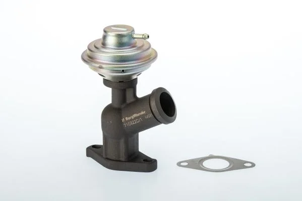 EGR ventil BorgWarner (Wahler) 710922D