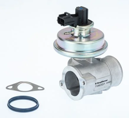 EGR ventil BorgWarner (Wahler) 710923D