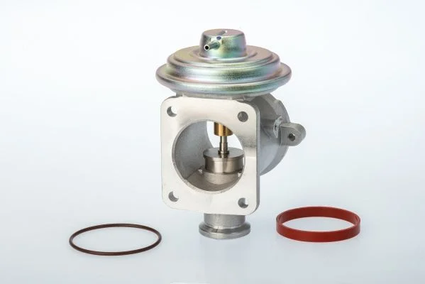 EGR Valve BorgWarner (Wahler) 710924D/1