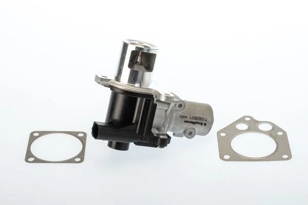 EGR ventil BorgWarner (Wahler) 710928D/1