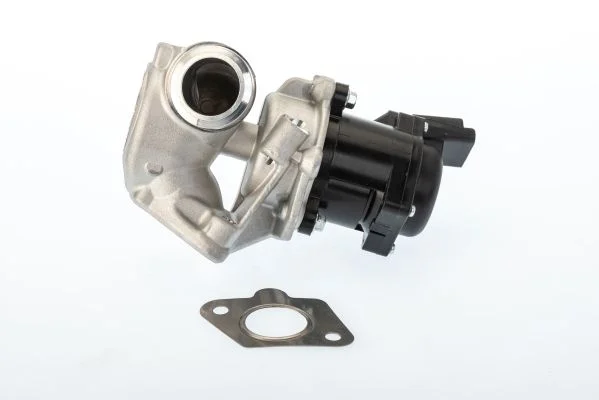 EGR ventil BorgWarner (Wahler) 710929D/1