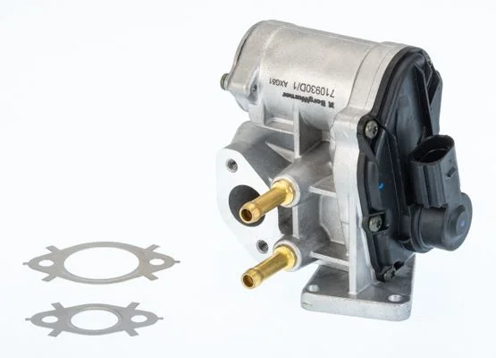 EGR Valve BorgWarner (Wahler) 710930D