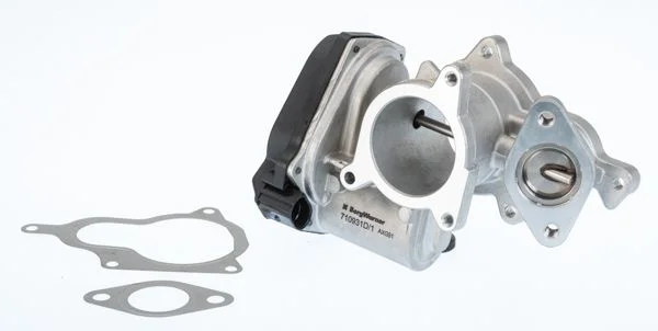 EGR ventil BorgWarner (Wahler) 710931D/1