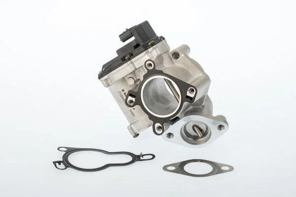 EGR Valve BorgWarner (Wahler) 710945D