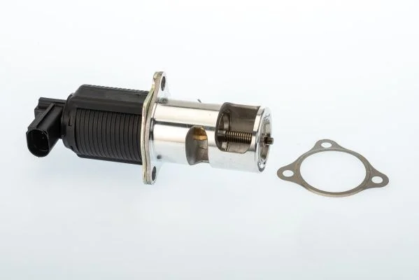 EGR Valve BorgWarner (Wahler) 710950D/1