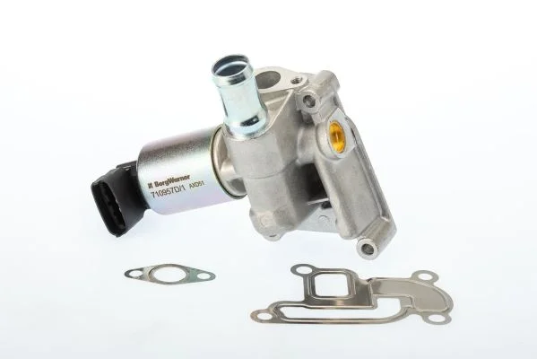 EGR ventil BorgWarner (Wahler) 710957D/1