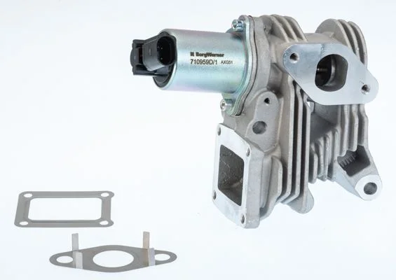 EGR Valve BorgWarner (Wahler) 710959D