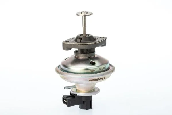 EGR Valve BorgWarner (Wahler) 710970D/1