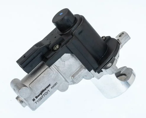 EGR ventil BorgWarner (Wahler) 710977D