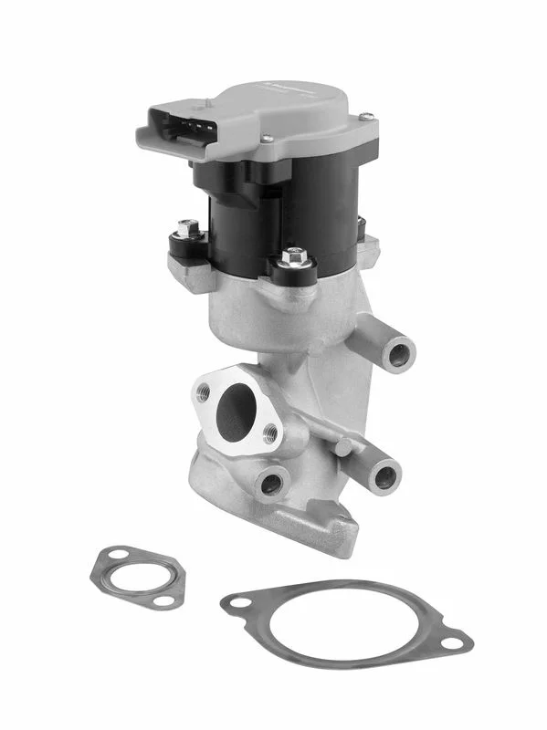 EGR Valve BorgWarner (Wahler) 710984D