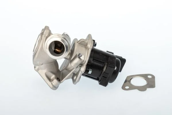 EGR ventil BorgWarner (Wahler) 711020D/1