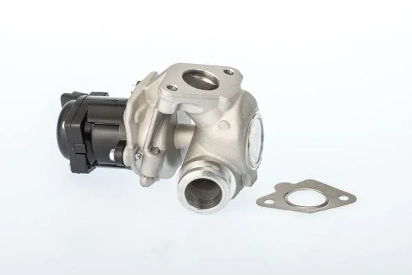 EGR ventil BorgWarner (Wahler) 711021D/1