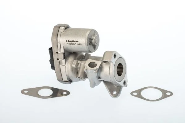 EGR ventil BorgWarner (Wahler) 711022D