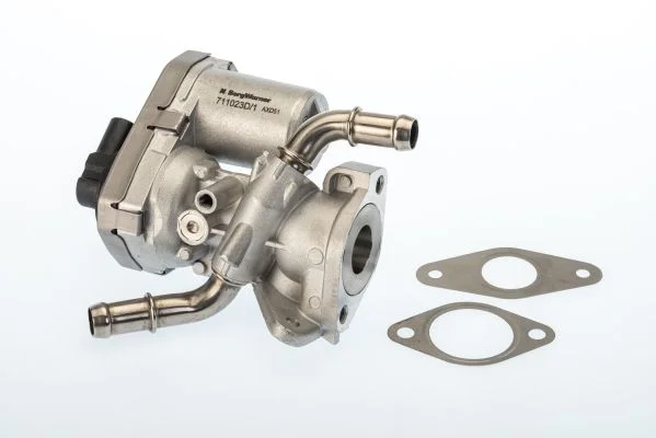 EGR Valve BorgWarner (Wahler) 711023D/1