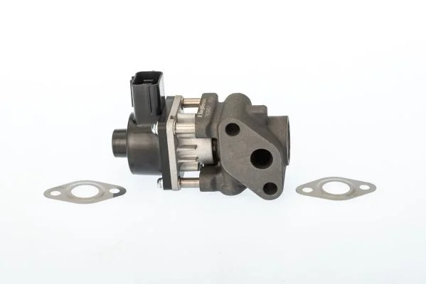 EGR ventil BorgWarner (Wahler) 711024D/1