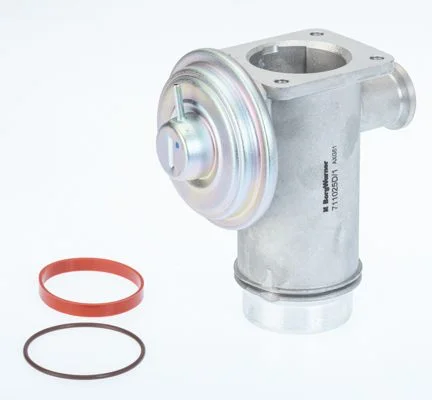 EGR ventil BorgWarner (Wahler) 711025D/1