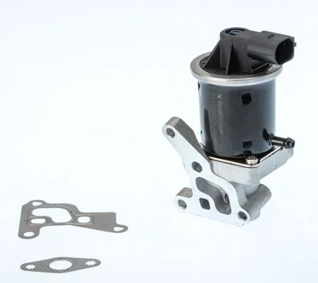 EGR ventil BorgWarner (Wahler) 711028D/1