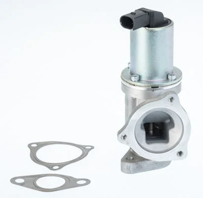 EGR ventil BorgWarner (Wahler) 711031D