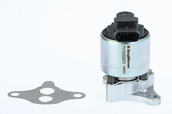 EGR Valve BorgWarner (Wahler) 711032D/1