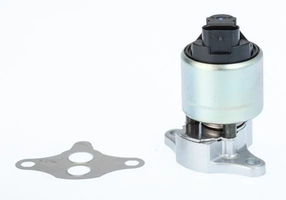 EGR ventil BorgWarner (Wahler) 711033D