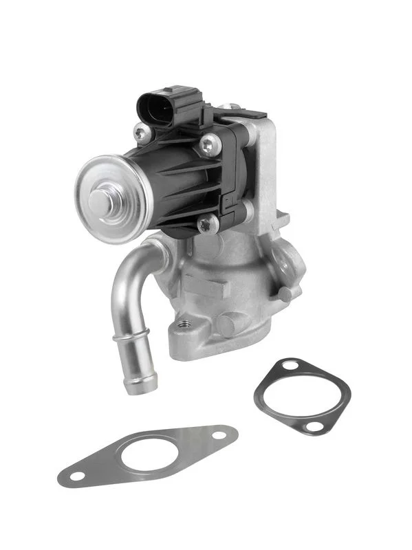 EGR ventil BorgWarner (Wahler) 712017D