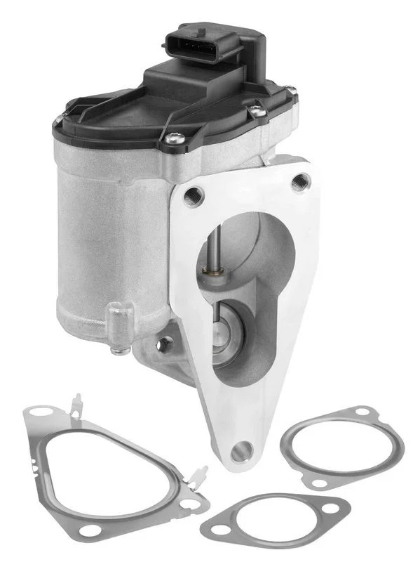 EGR ventil BorgWarner (Wahler) 712018D