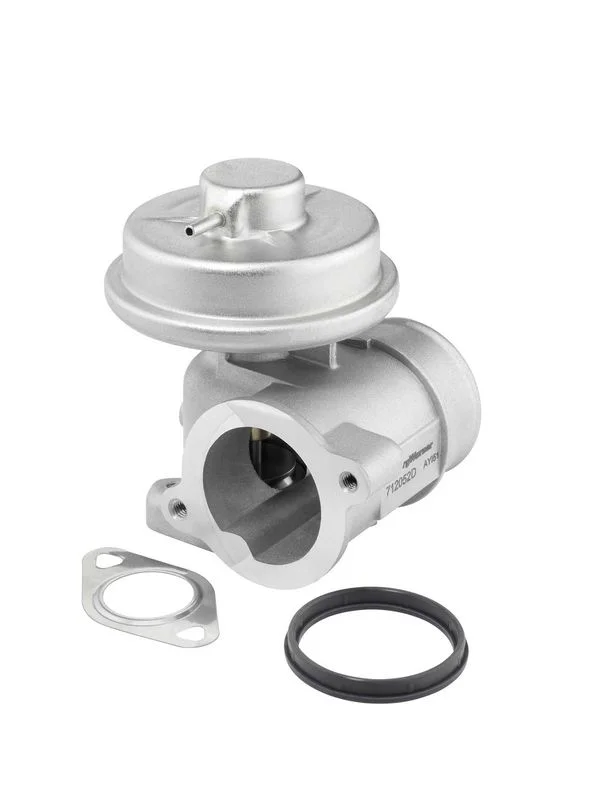EGR Valve BorgWarner (Wahler) 712052D