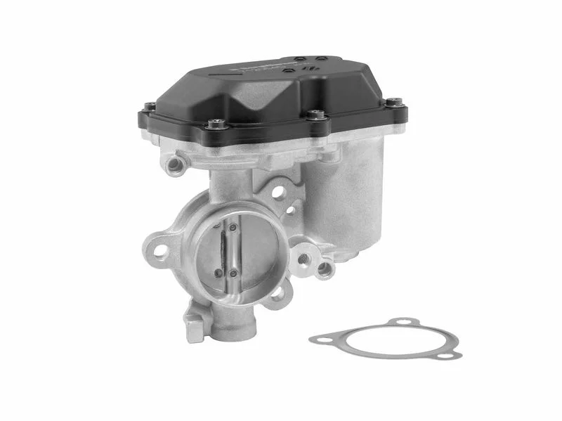 EGR Valve BorgWarner (Wahler) 712054D