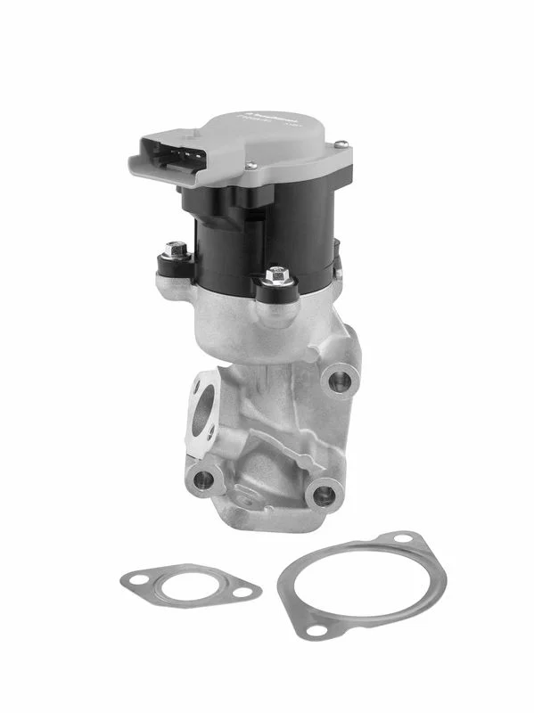 EGR ventil BorgWarner (Wahler) 712057D