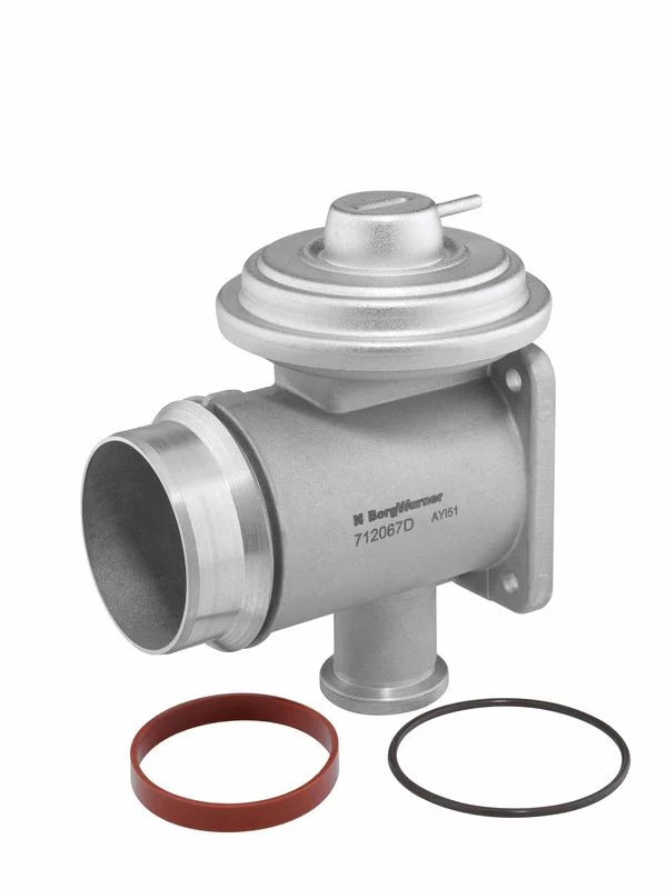 EGR ventil BorgWarner (Wahler) 712067D