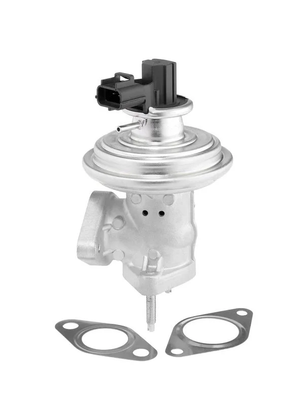 EGR Valve BorgWarner (Wahler) 712071D