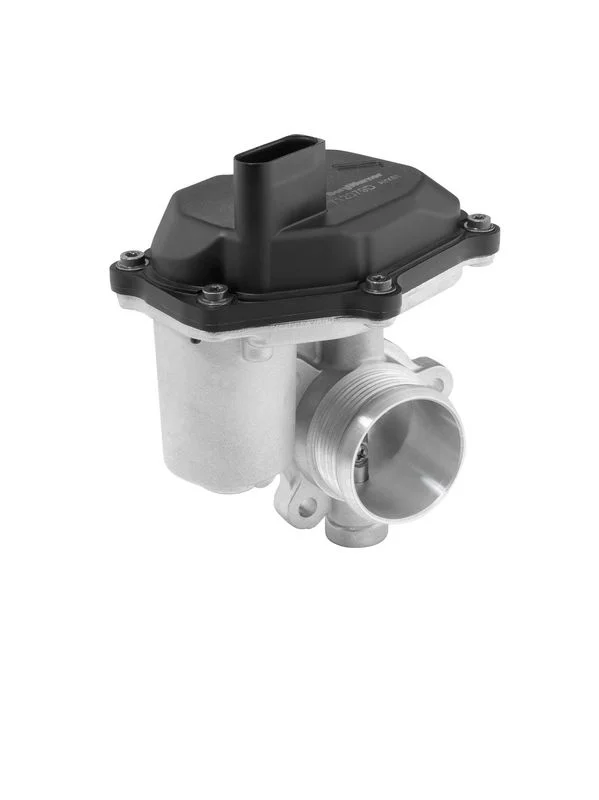 EGR ventil BorgWarner (Wahler) 712079D