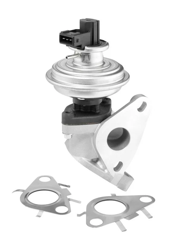 EGR ventil BorgWarner (Wahler) 712092D