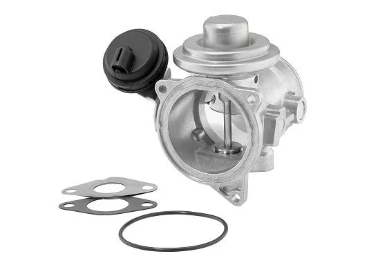 EGR Valve BorgWarner (Wahler) 7187D