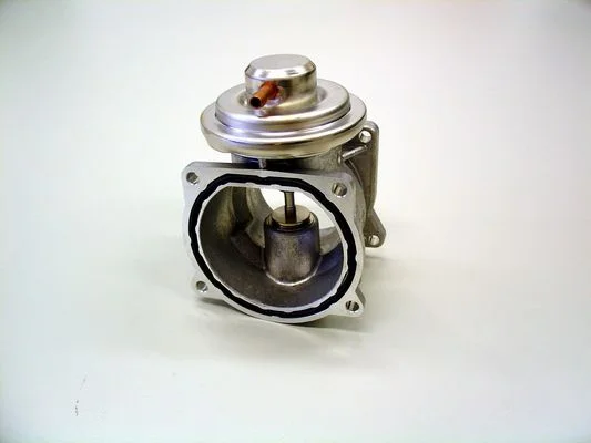 EGR Valve BorgWarner (Wahler) 7268D