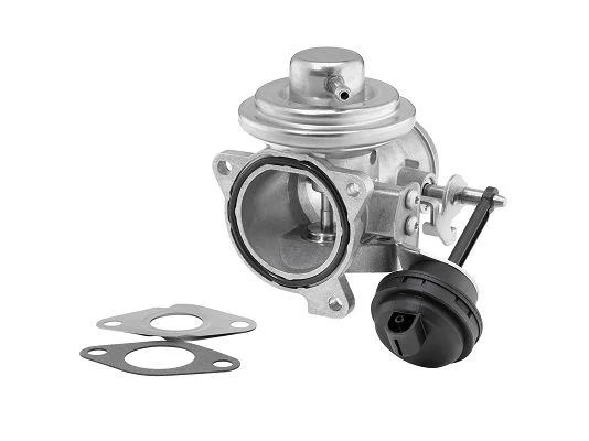 EGR ventil BorgWarner (Wahler) 7293D/1