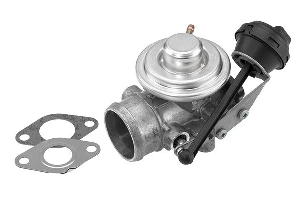 EGR Valve BorgWarner (Wahler) 7301D/1